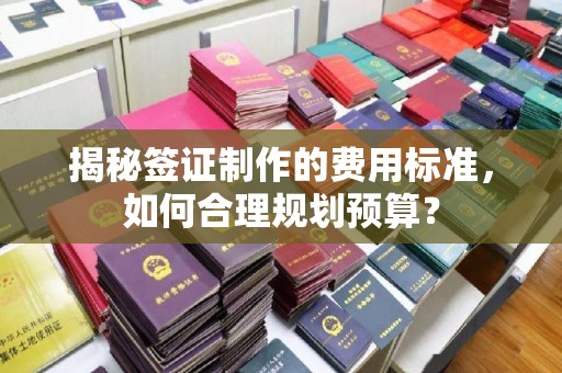 黄龙揭秘签证制作的费用标准，如何合理规划预算？