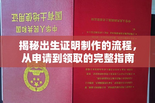 黄龙揭秘出生证明制作的流程，从申请到领取的完整指南